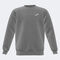 Sudadera junior Lion gris melange