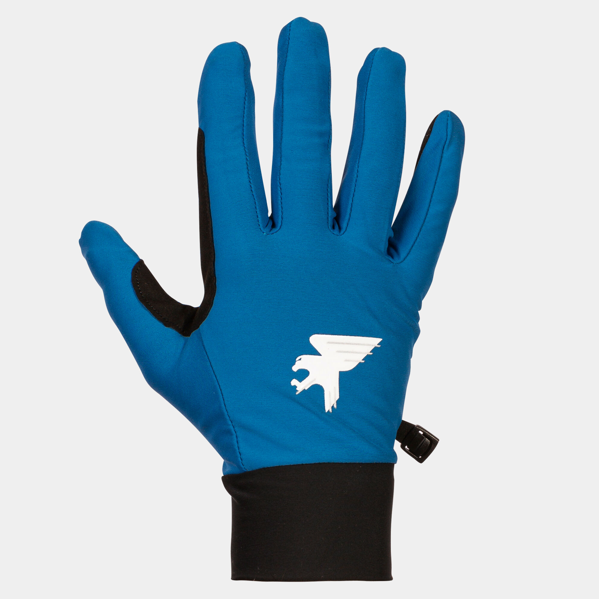 Gloves Explorer blue