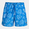Swimming trunks man Party blue