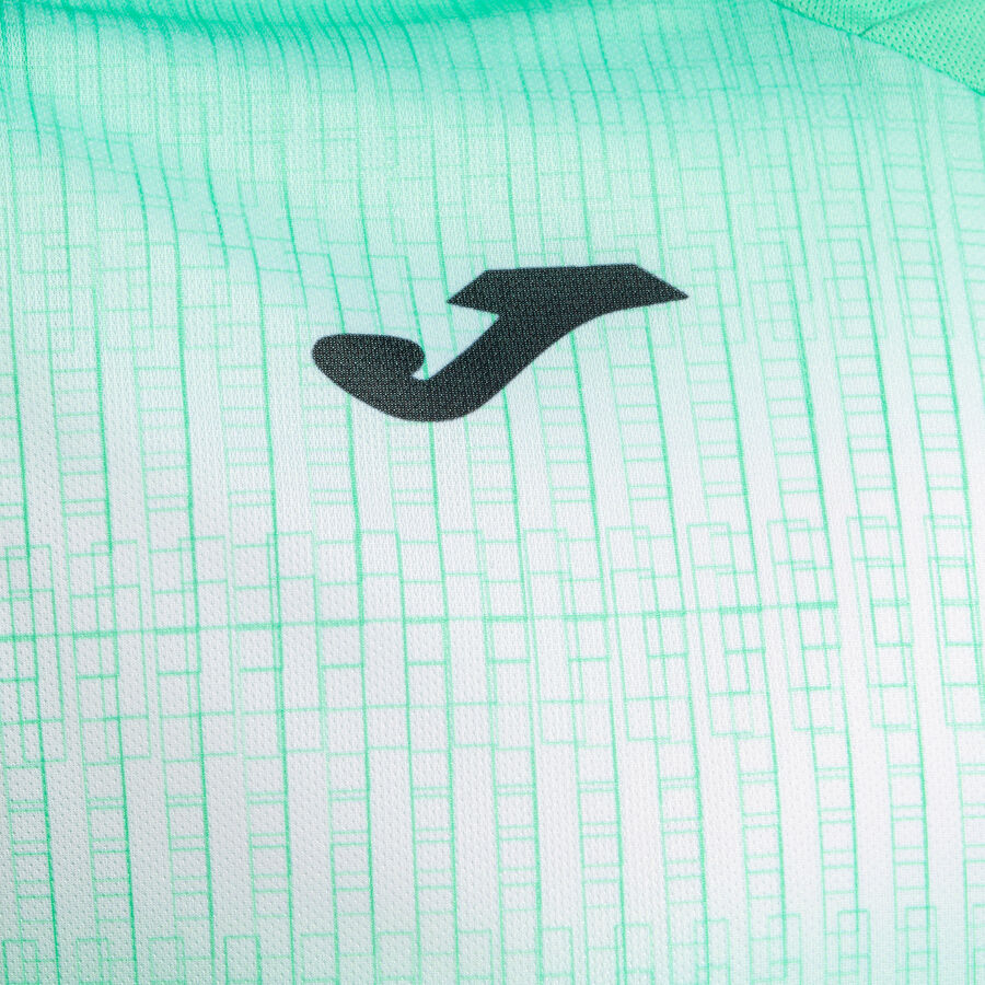 CAMISETA MANGA CORTA TIGER V