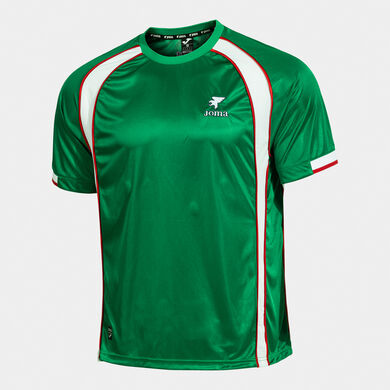 Kurzarmshirt mann Futbol Retro Mundial 2026 gr&uuml;n wei&szlig;