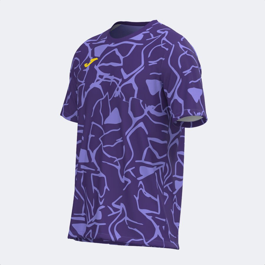 CAMISETA MANGA CORTA PRO TEAM