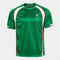 Kurzarmshirt mann Futbol Retro Mundial 2026 gr&uuml;n wei&szlig;