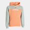 Sudadera con capucha niña Park salmón azul