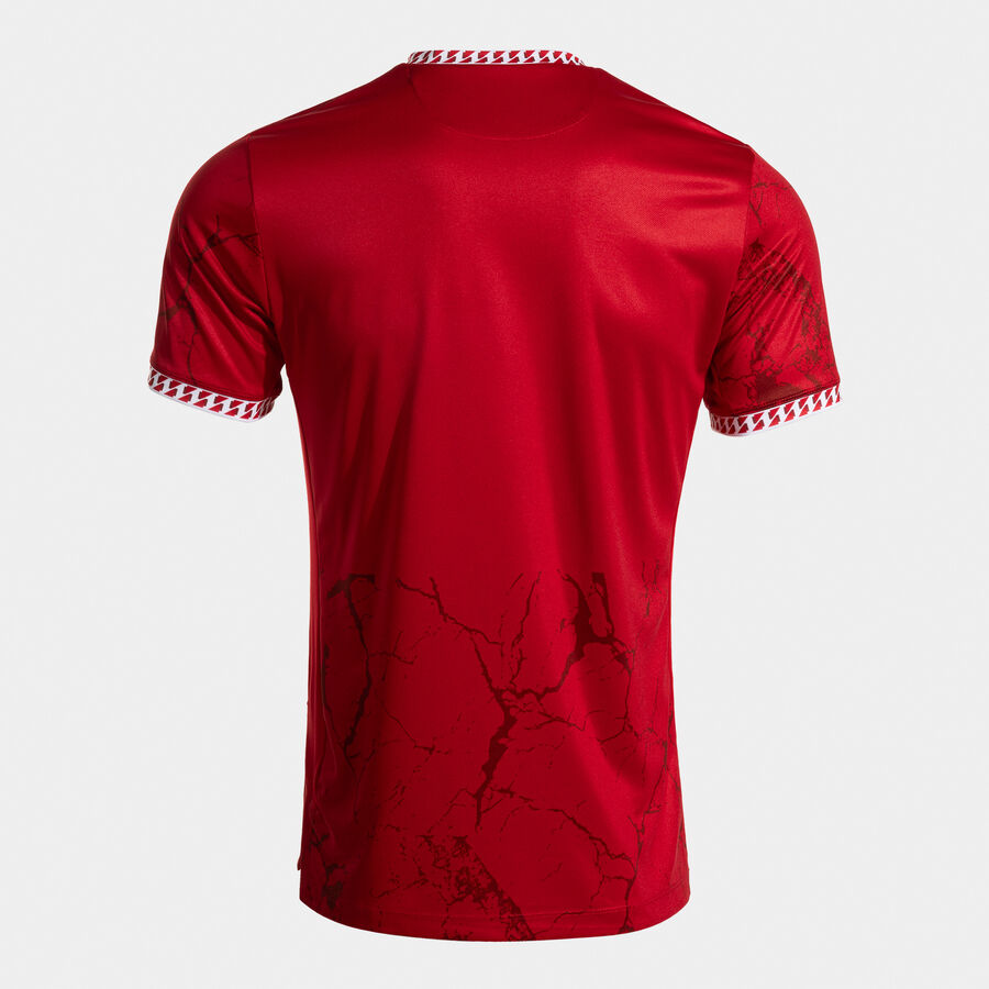 CAMISETA MANGA CORTA GOLD VII