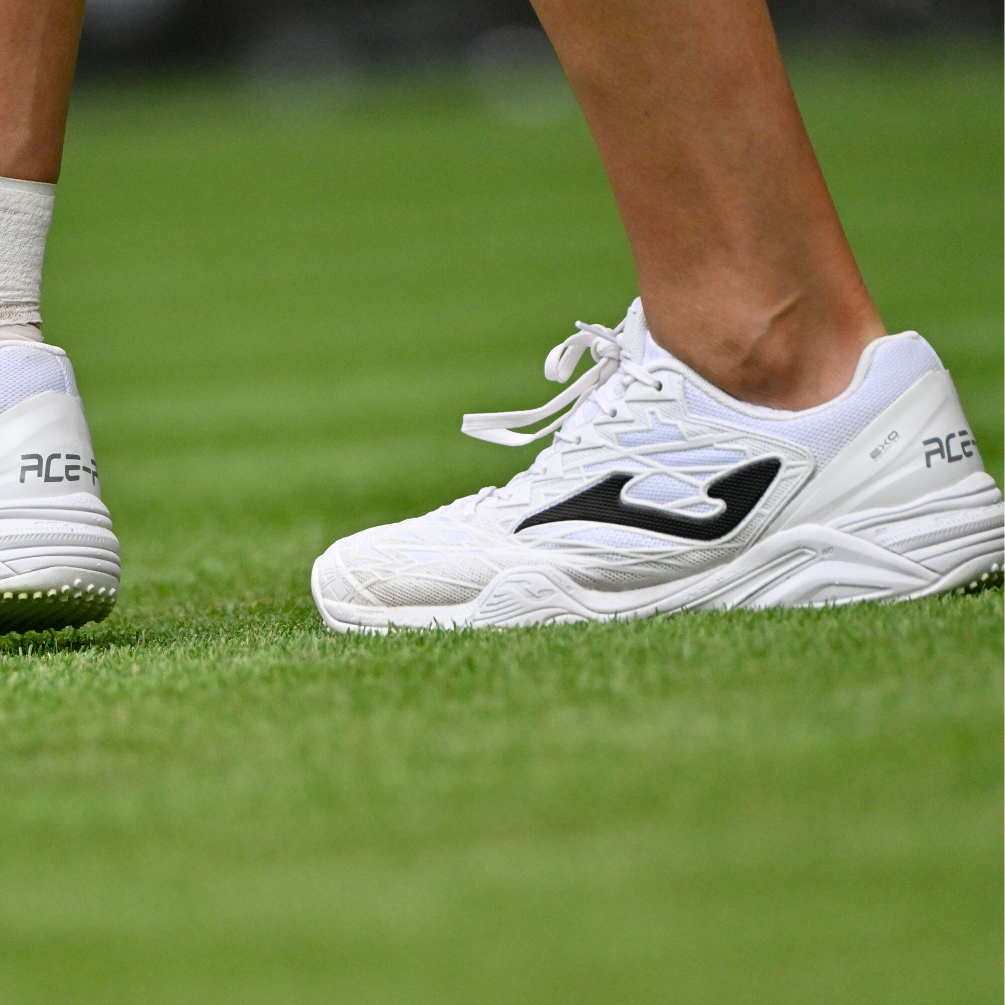 Ace best sale shoes sports