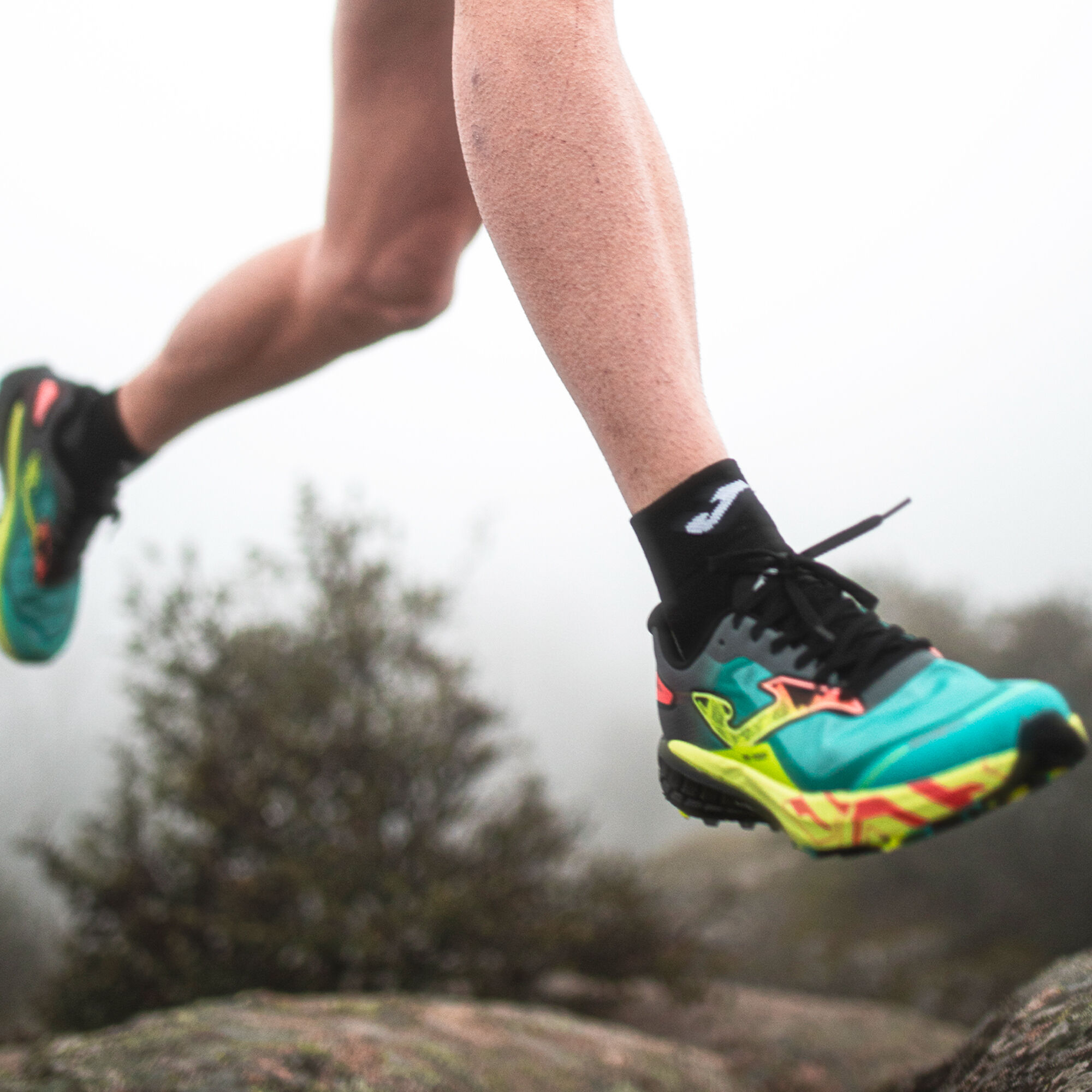 Best mens trail running shoes 219 online