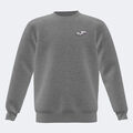 Sudadera junior Lion gris melange