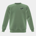 Sudadera junior Lion caqui