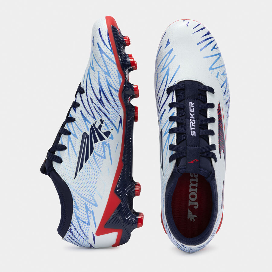 STRIKER 25