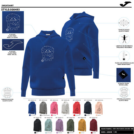 SUDADERA CON CAPUCHA GAMMA image number null