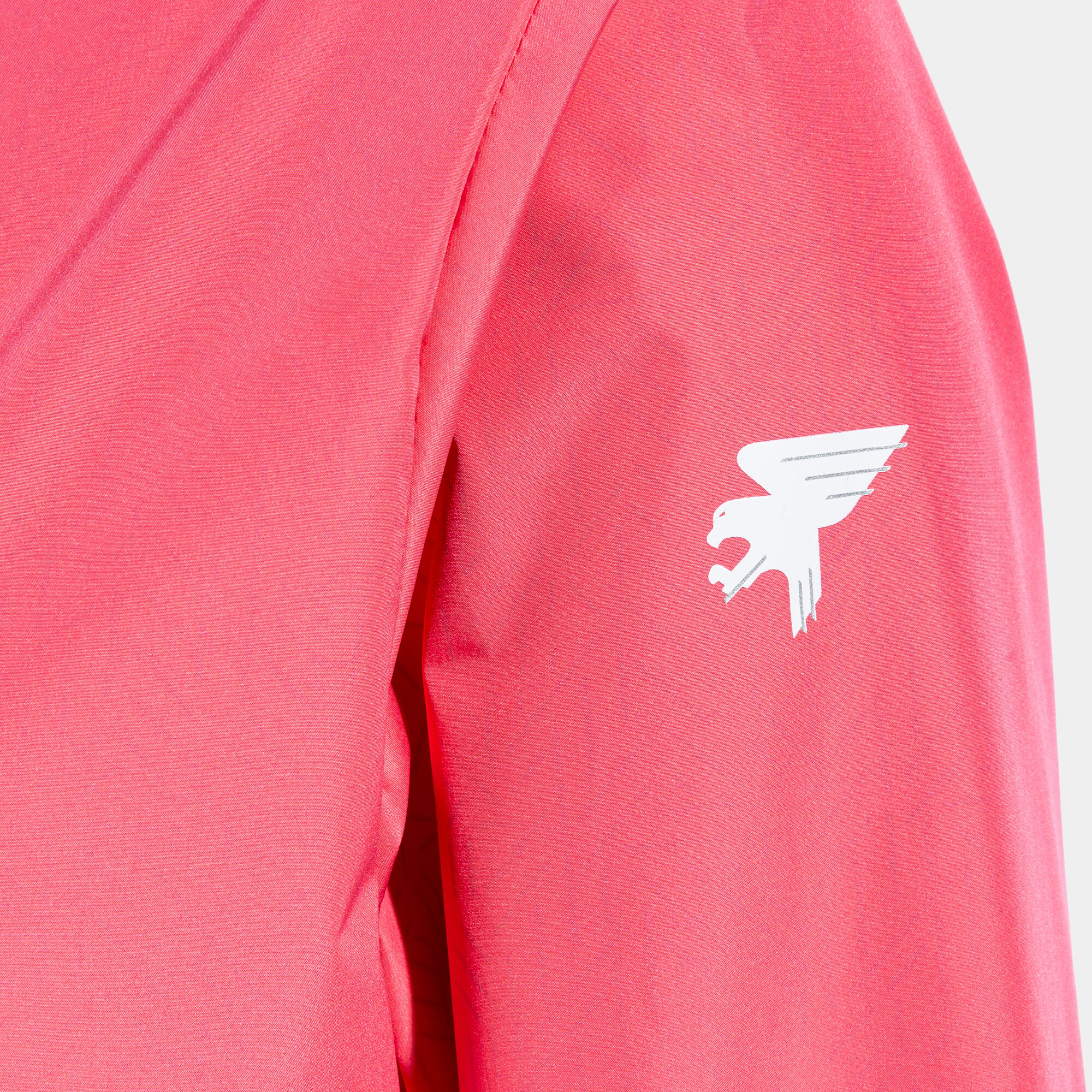 Lacoste explorer shop