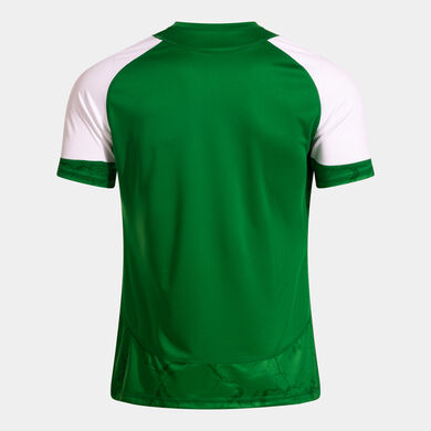 Camiseta manga corta hombre Performance Handball verde blanco