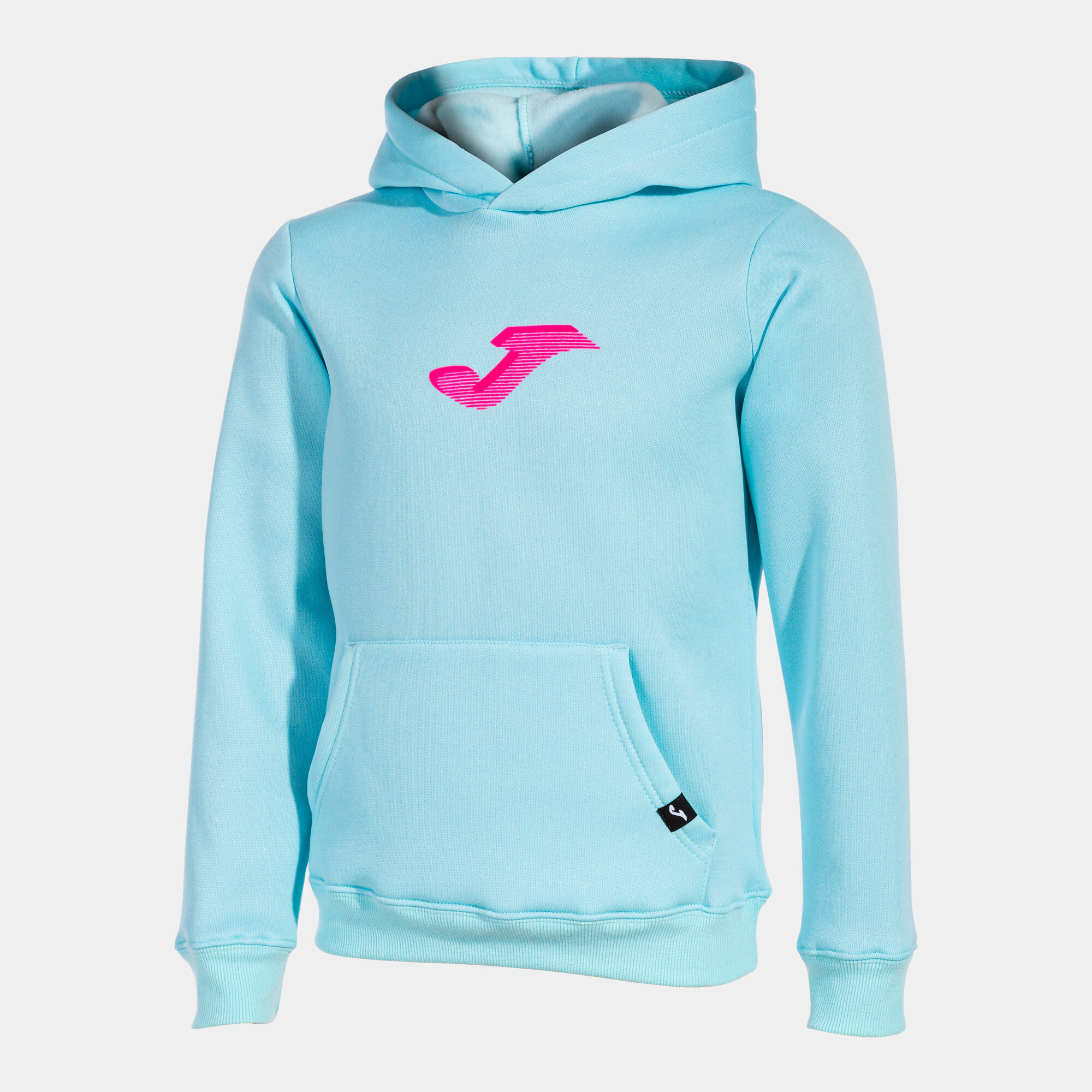 Hollister outlet lion hoodie