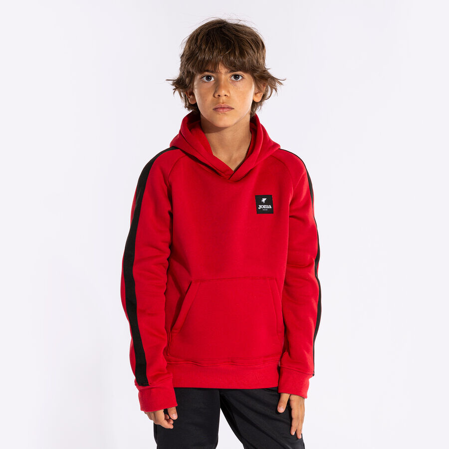 SUDADERA CON CAPUCHA STRIPE