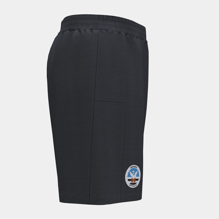 SHORT SWANSEA