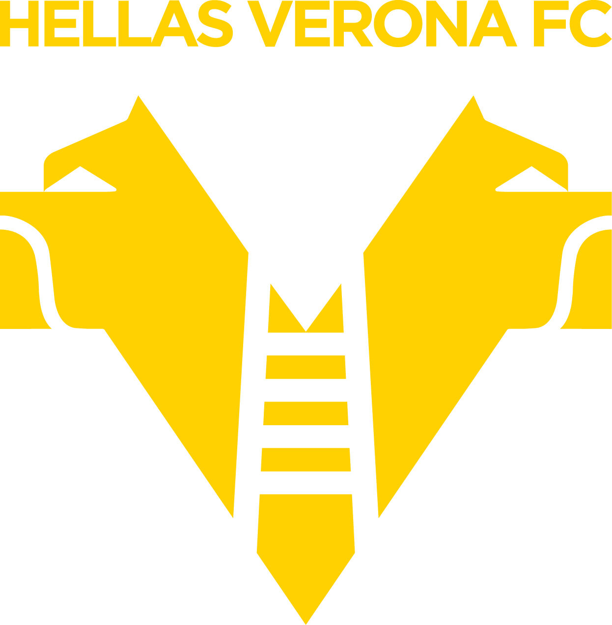 Sponsor Hellas Verona FC