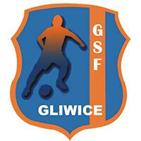 Gsf Gliwice