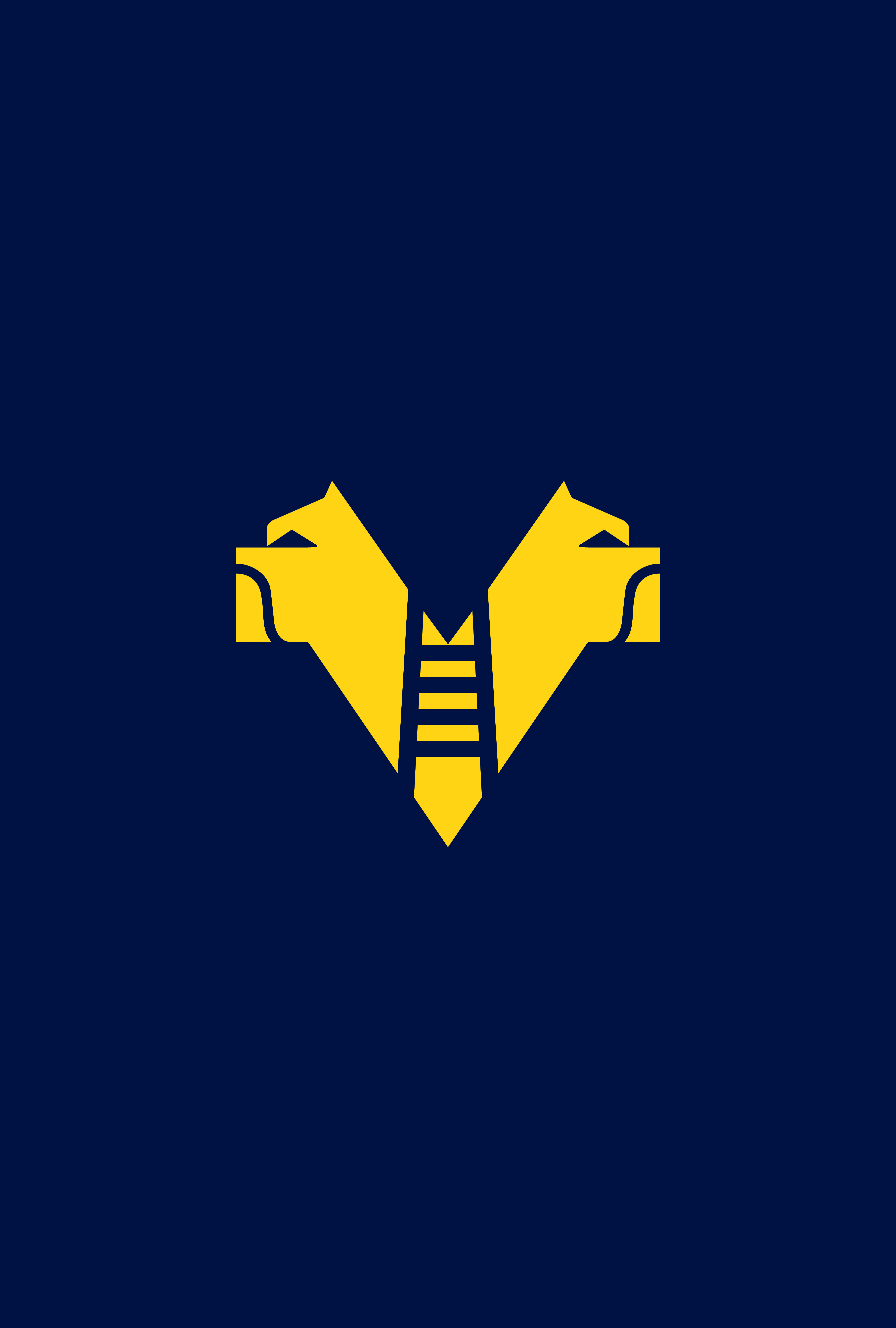 Joma sponsorship – Hellas Verona